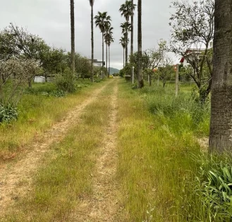 ویلا ساحلی و زمین 9700 متری بین نوشهر و رامسر