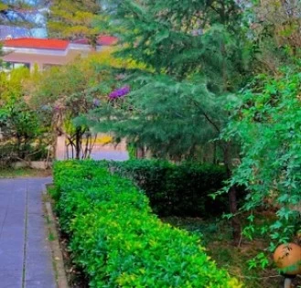 اجاره سالیانه ویلا 3 خوابه شهرک دریاکنار