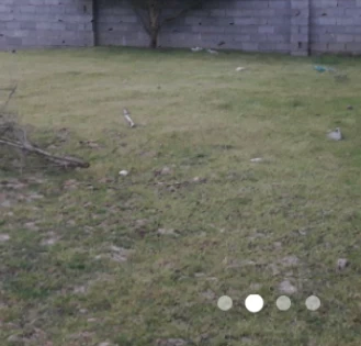 زمین 2 نبش 400 متری در ذوالفقاری بابلسر