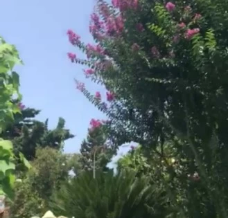 خرید باغ ویلا در خزرشهر معاوضه ای خرید باغ ویلا در خزرشهر معاوضه ای