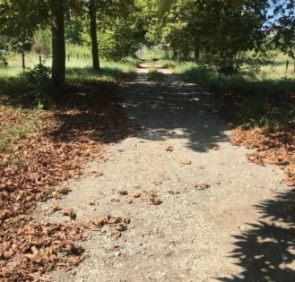 زمین خوش نقشه سند تک برگ در نخست وزیری بابلسر